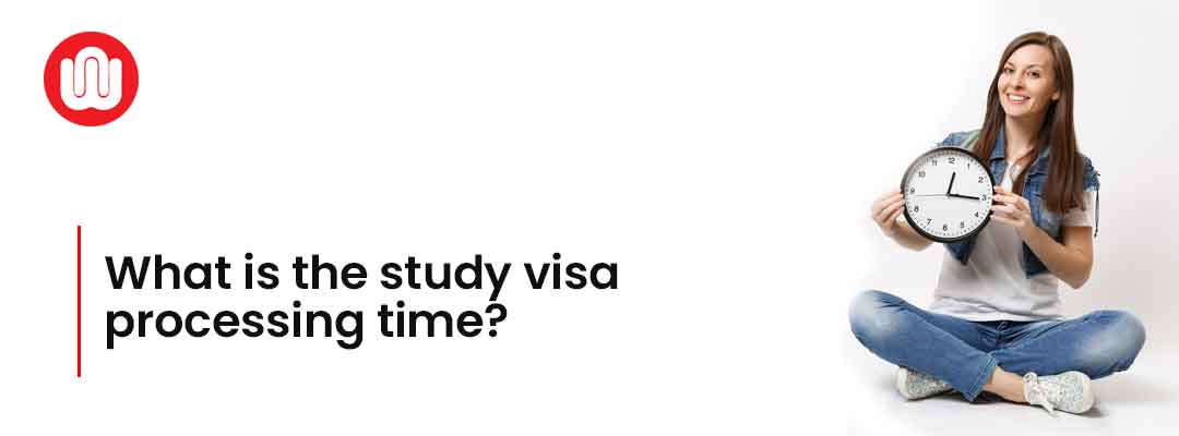 What is the study visa processing time?