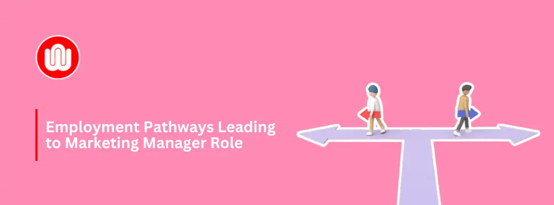 Employment Pathways Leading to Marketing Manager Role