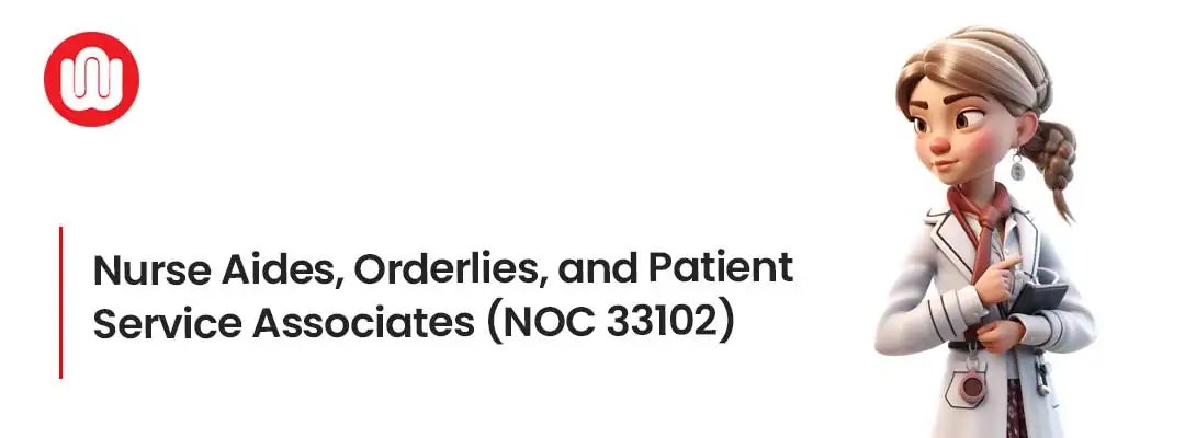 Nurse Aides, Orderlies, and Patient Service Associates (NOC 33102)
