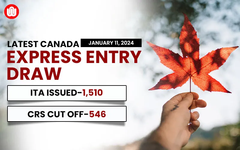 Details more than 111 ircc express entry draw latest nanoginkgobiloba.vn